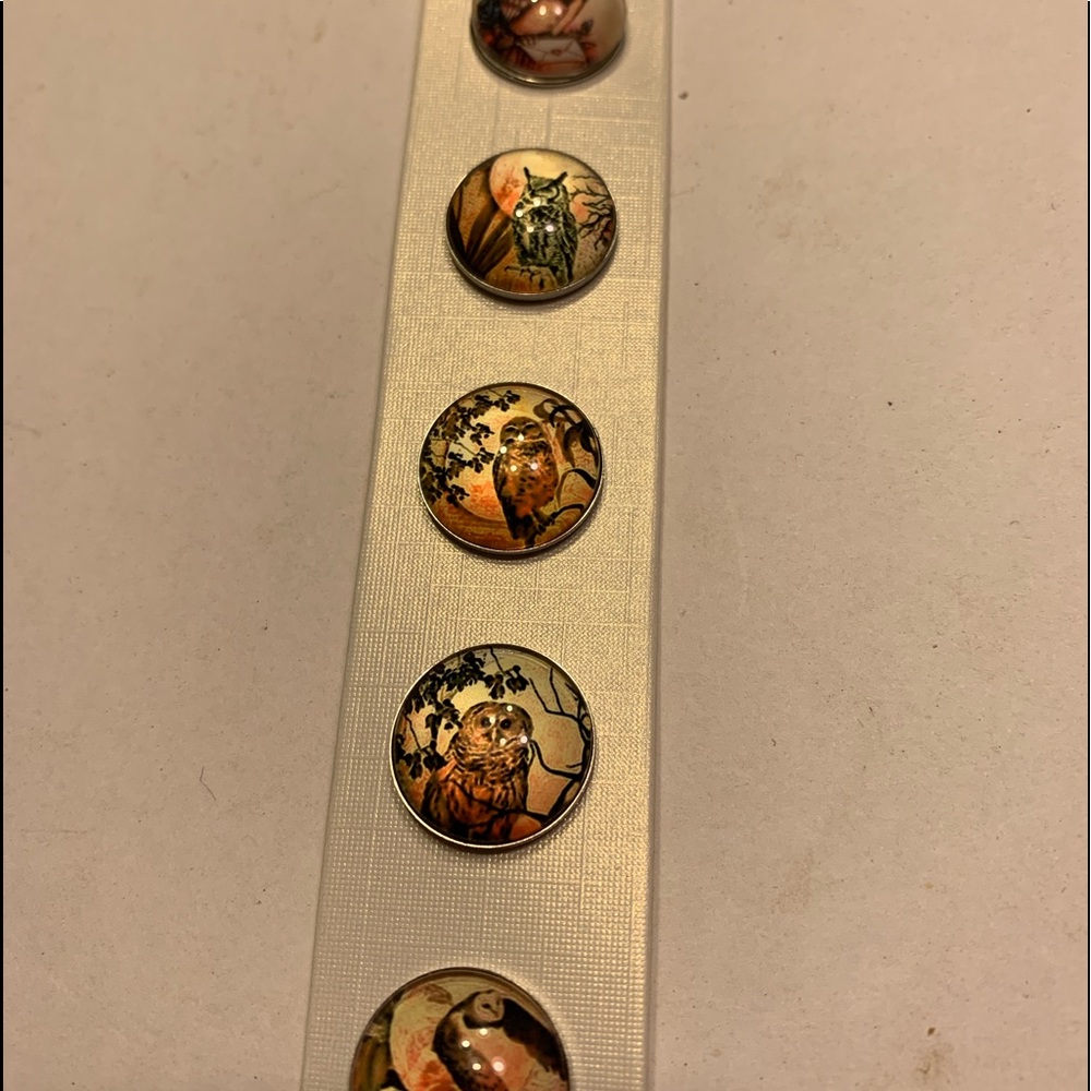 5 owl snaps.  Fits all findings in my closet